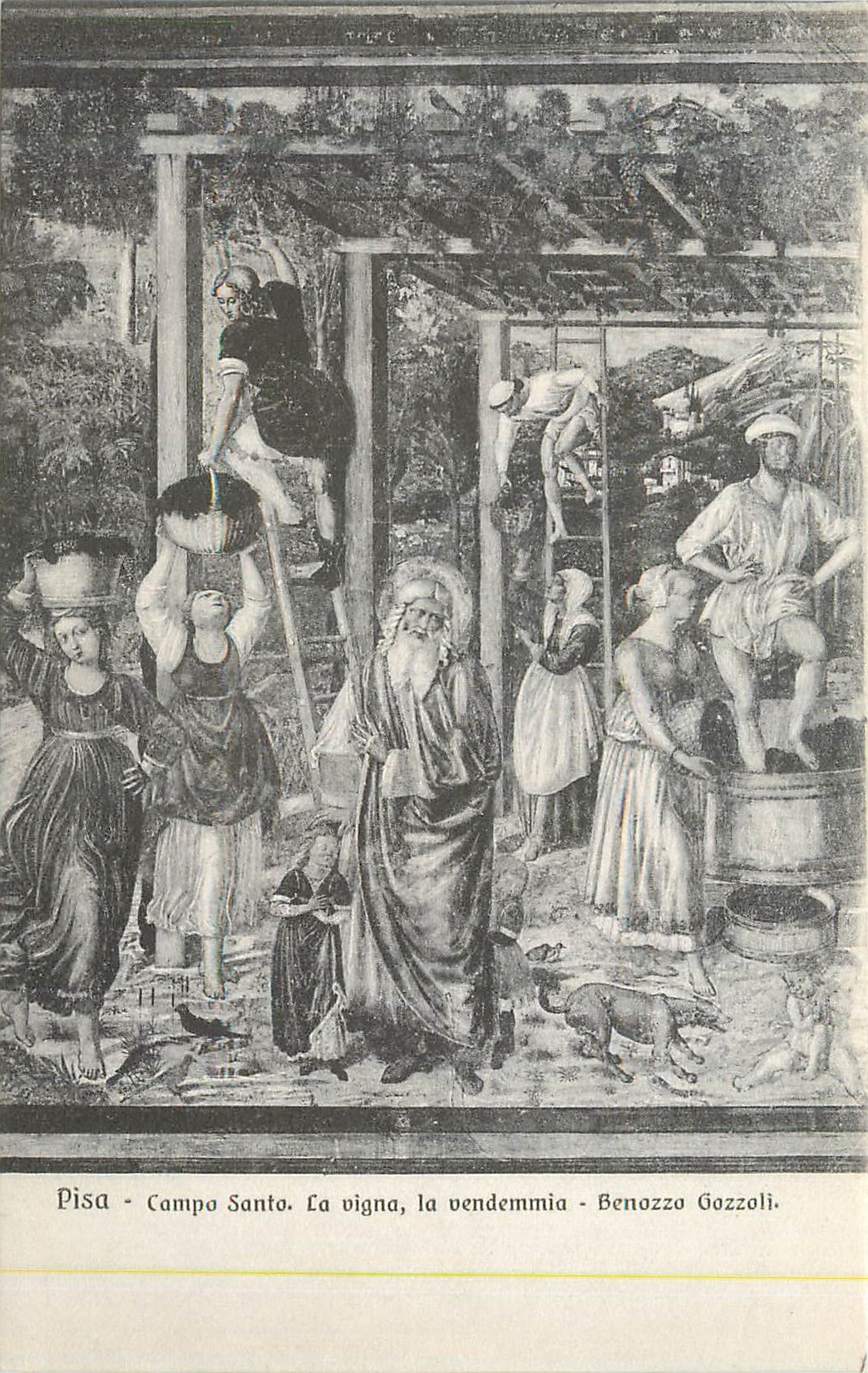 CPA Pisa Compo santo La Vigna La Vendemmia Benozza Gozzoli Grandi Galerie di Sculture