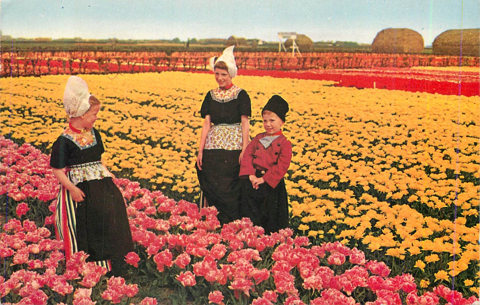 CPM Holland Champs de tulipes Tulpenfelder