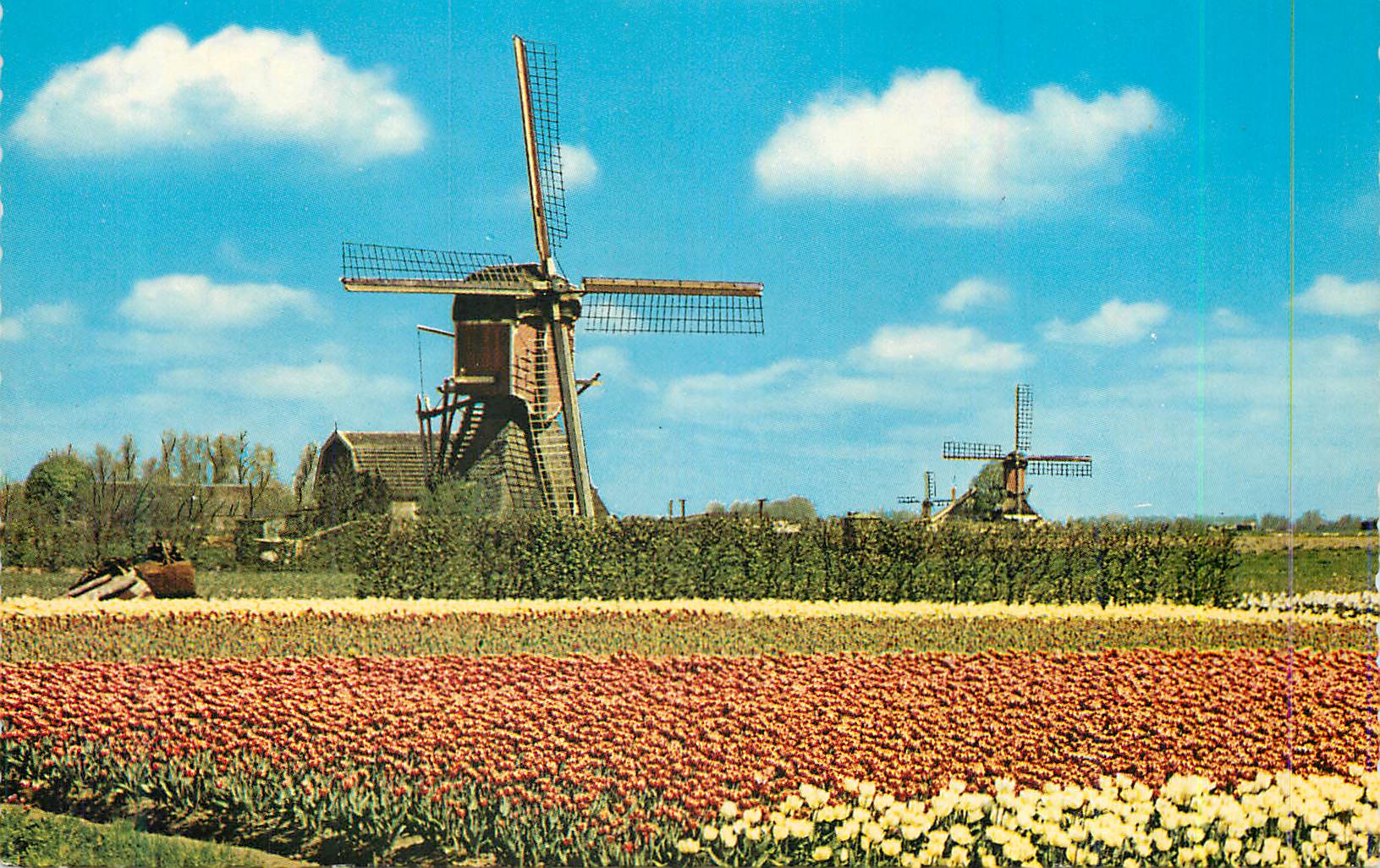 CPM Holland Bloemenland Motenland