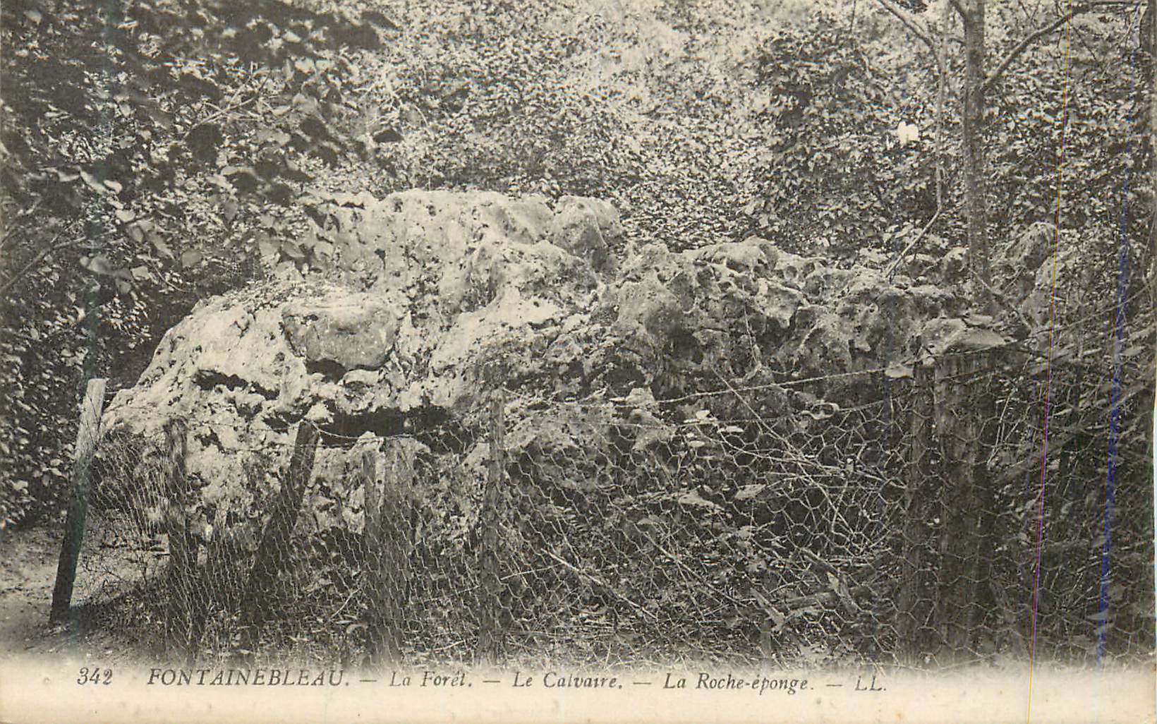 Fontainebleau — Die Wälder — Der Calvary — La Roche-éponge — LL