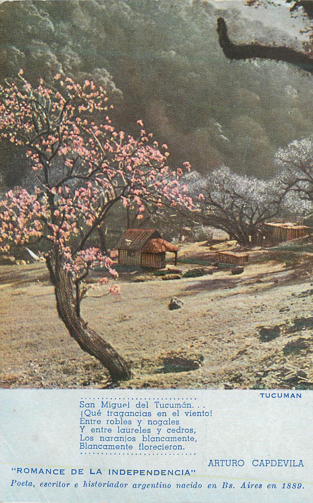 San Miguel del Tucumán — paysage avec fleurs de naranjos — Arturo Capdevila