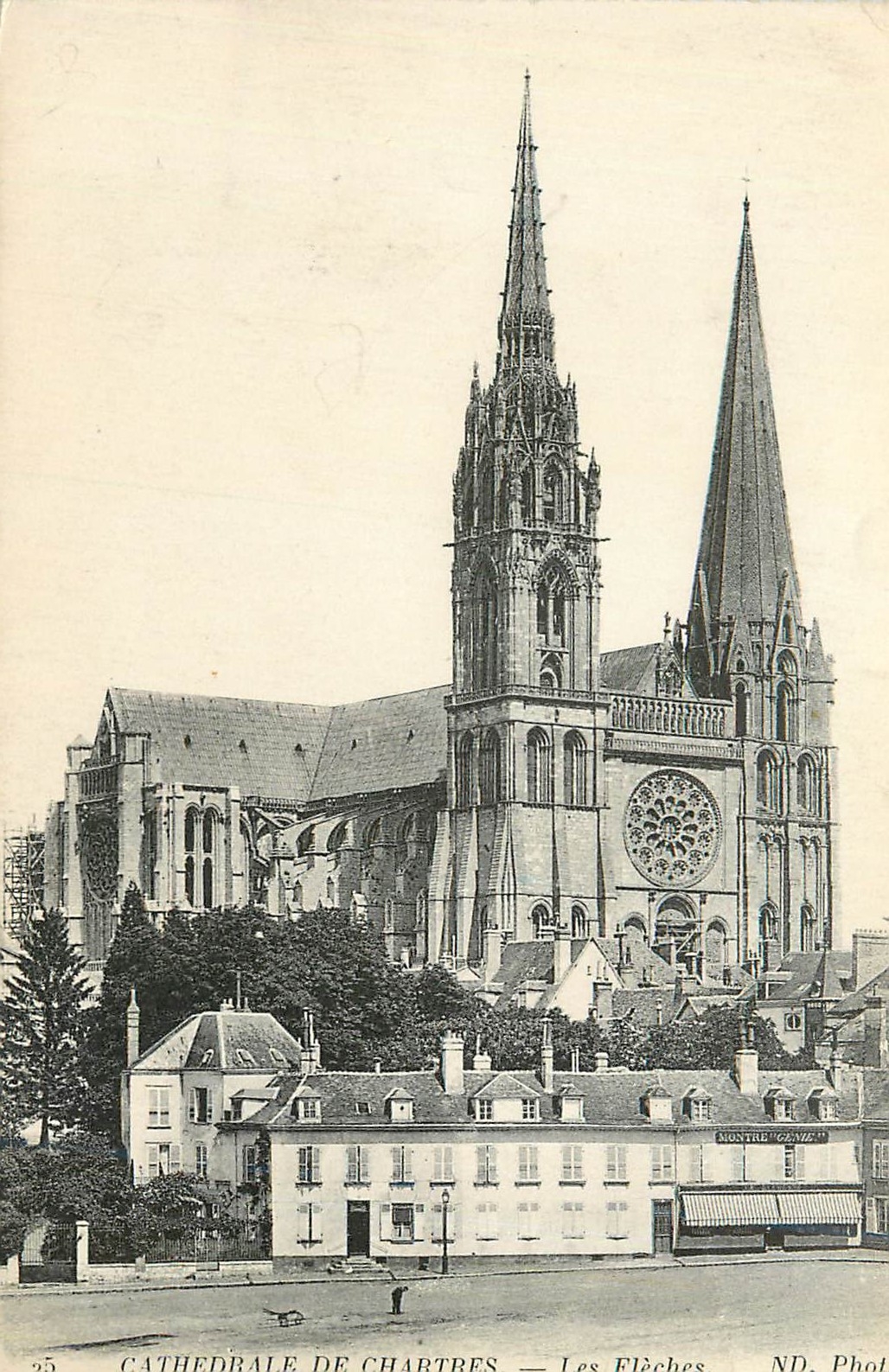 CPA Cathedrale de Chartres Les Fleches
