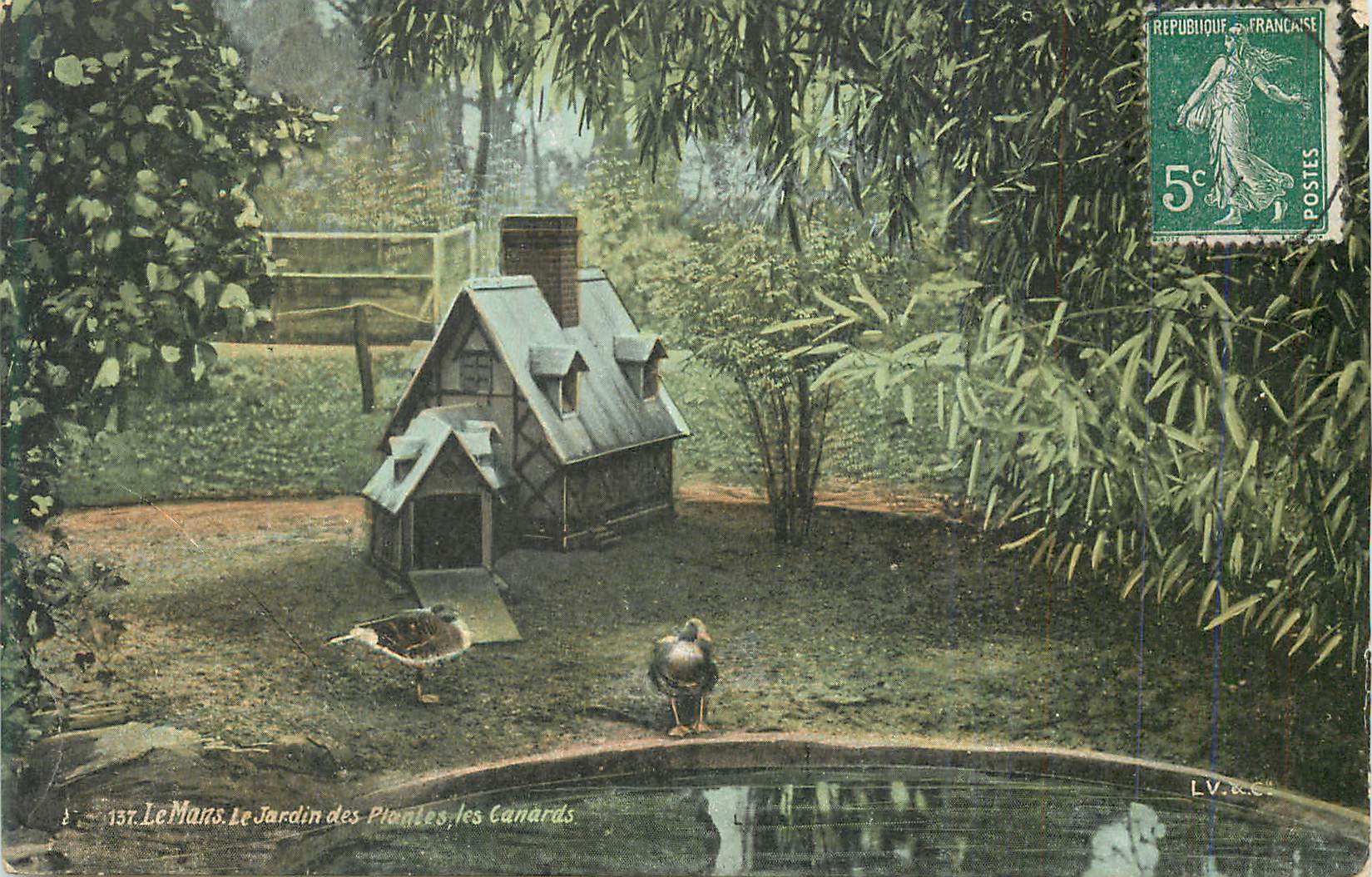 CPA Le Mans Le Jardin Des Plantes les Canards