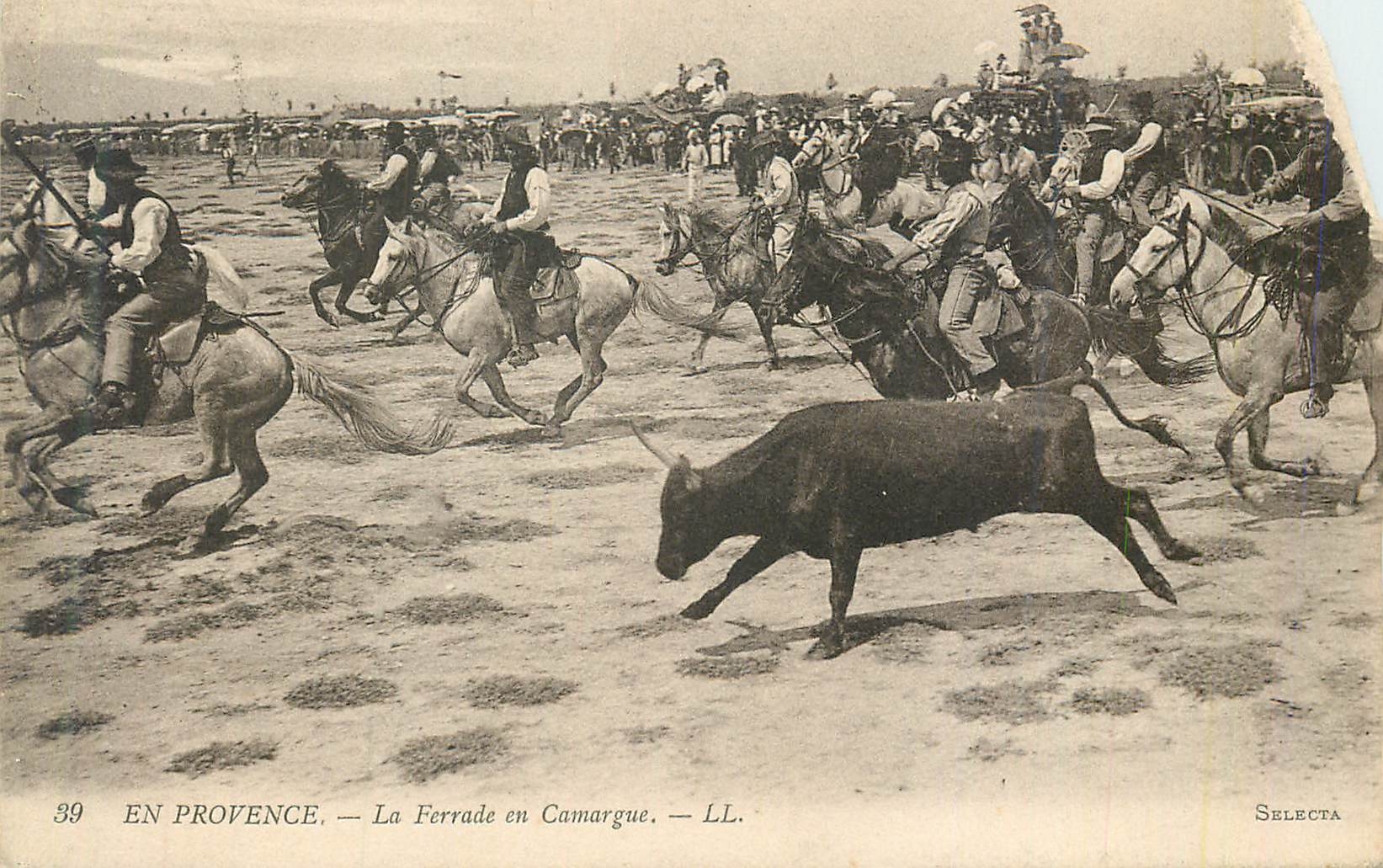 La Ferrade en Camargue — Selecta
