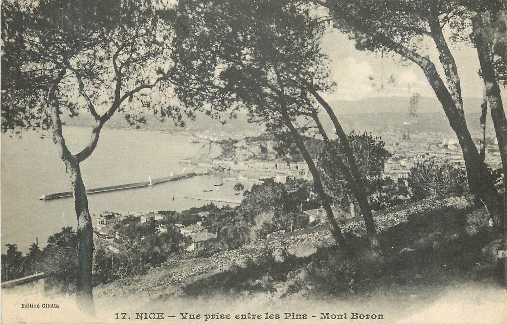 CPA Nice Vue Prise entre les Pins Mont Boron