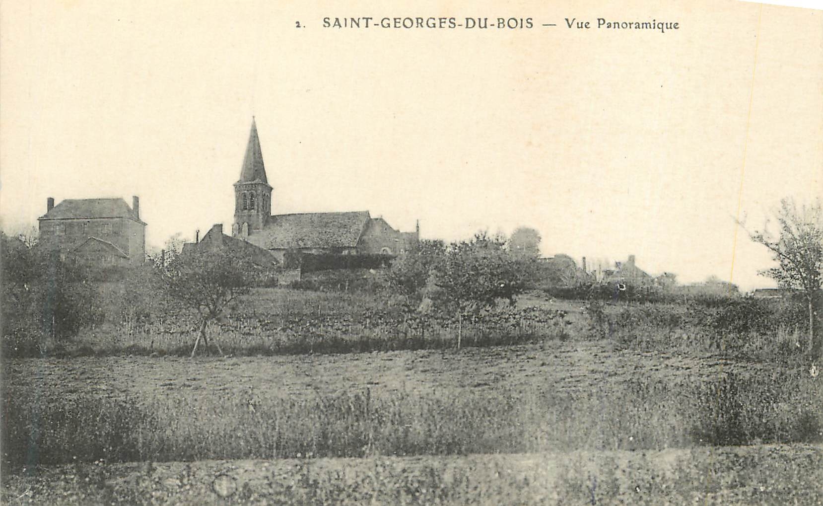 CPA Saint Georges du Bois Vue Panoramique