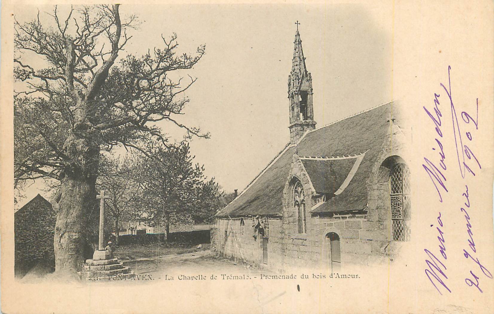 CPA Pont Aven La chapelle de Tremalz Promenade du bois d'amour