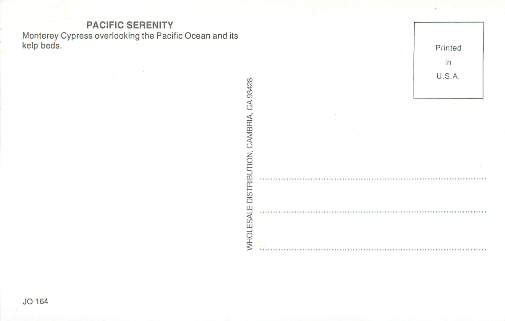 CPM Pacific Serenity Monterey Cypress Overlooking the Pacific Ocean and Its Kelp Beds — Back