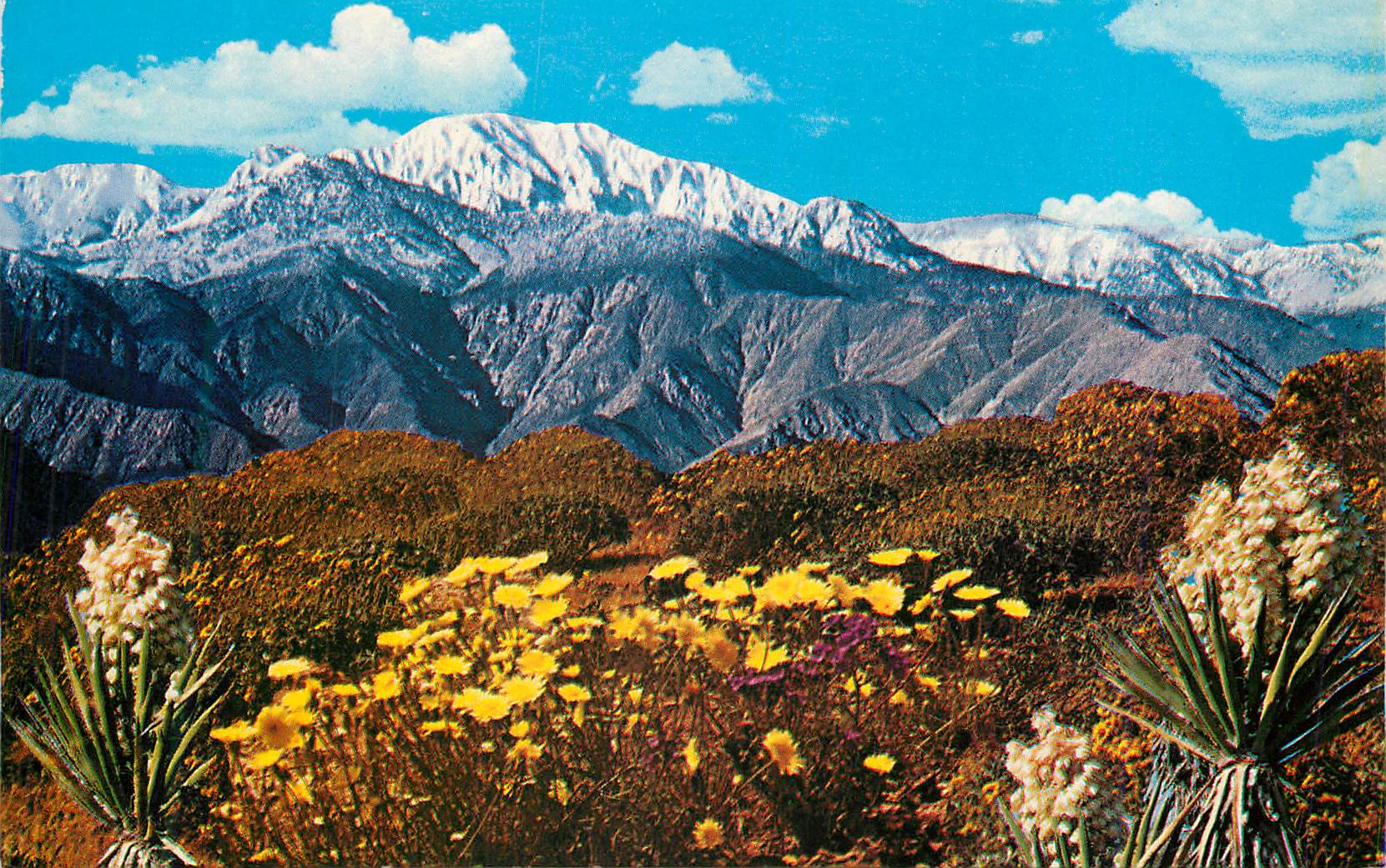 Palm Springs — Springtime on the Desert — H.S. Mirro-Krome Co. Inc.