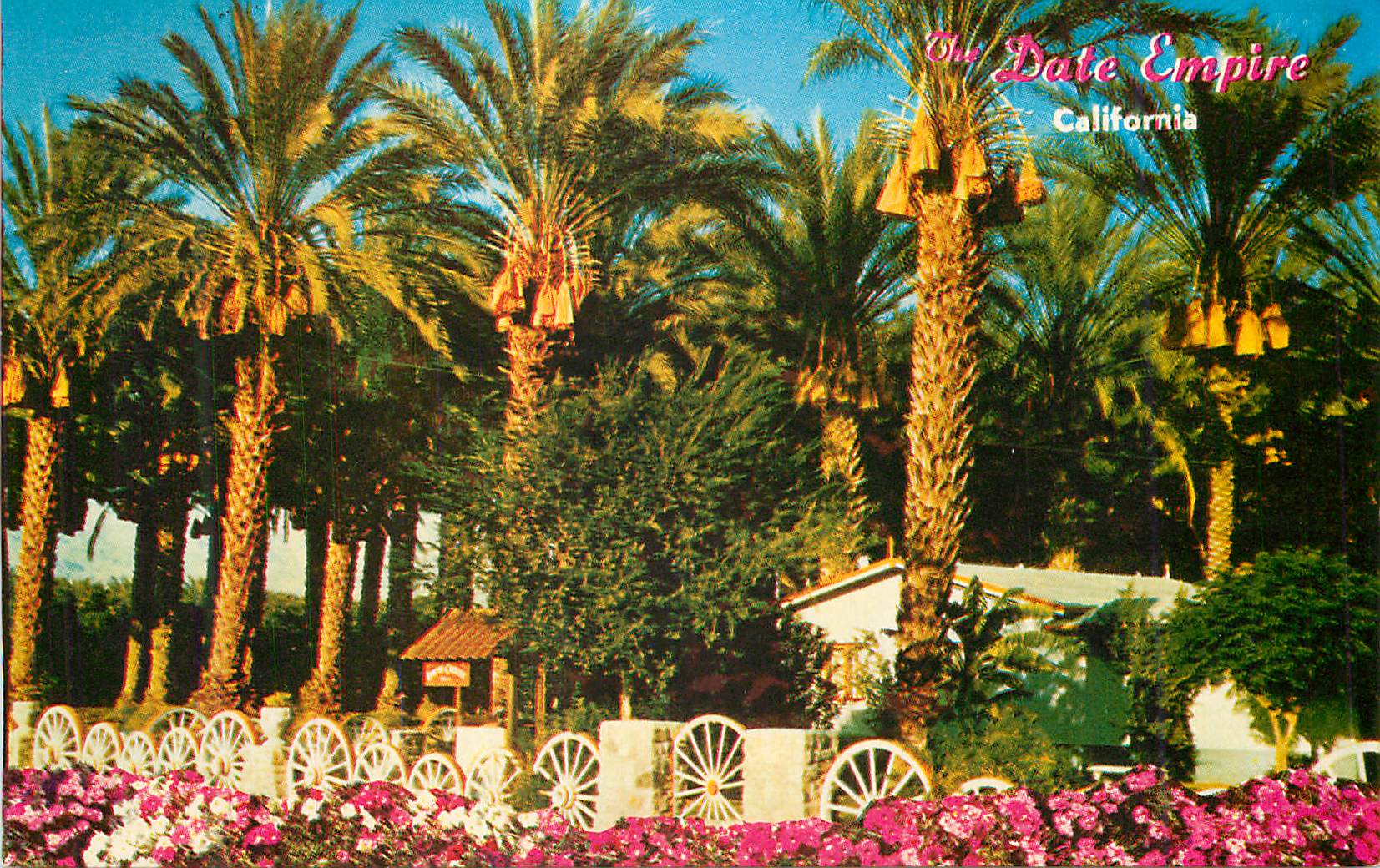 CPM Coachella Valley date Grove Indio California