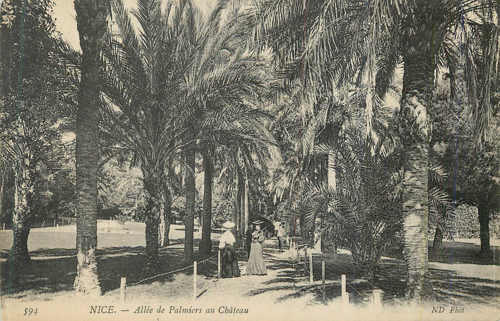 CPA Nice Allee de Palmiers au Chateau