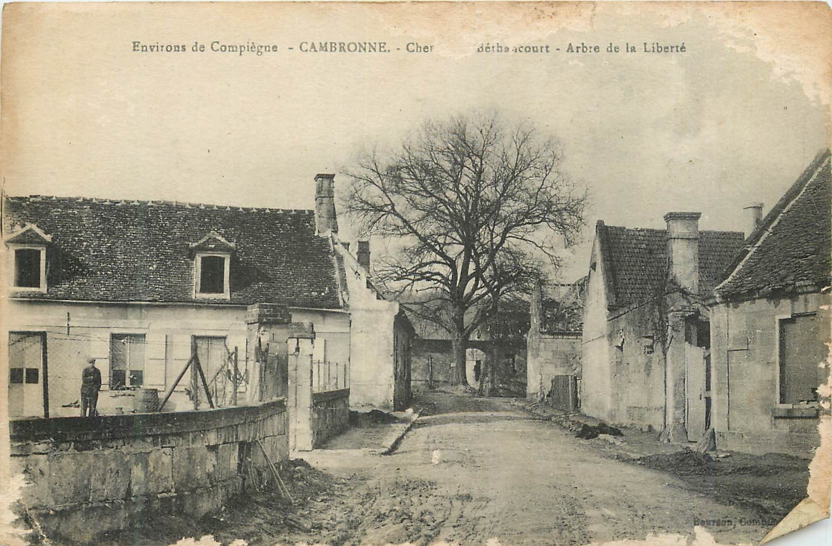 CPA Environs de Compiegne Cambronne Arbre de la Liberte