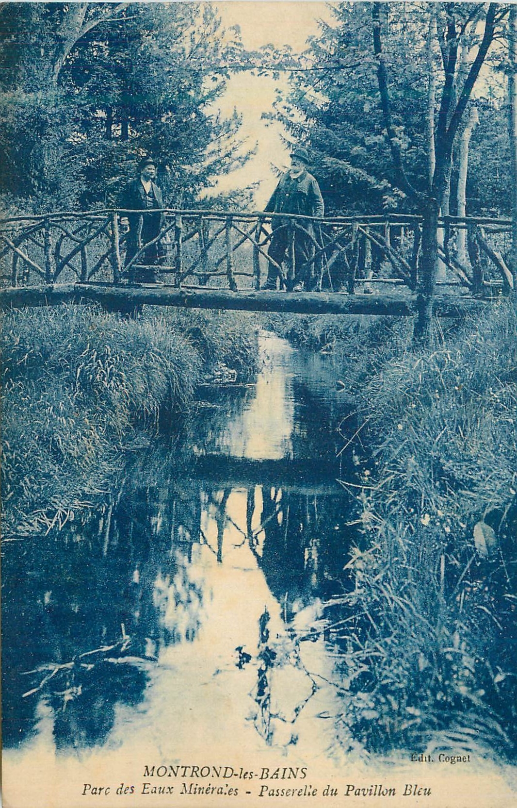 CPA Montrond les Bains Parc des Eaux Minerales Passerelle du Pavillon Bleu