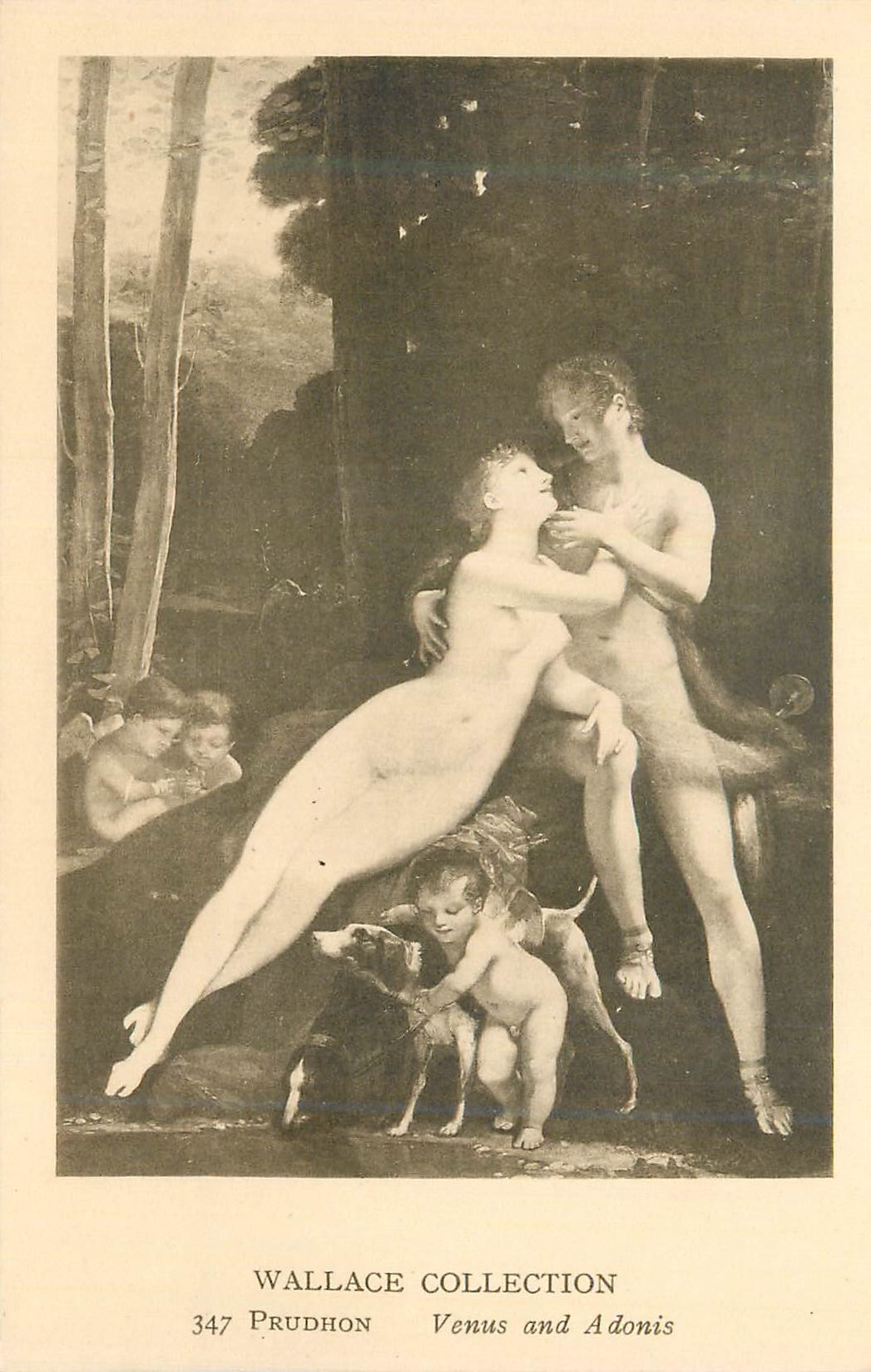 CPA Wallace Collection Prudhon Venus and Adonis