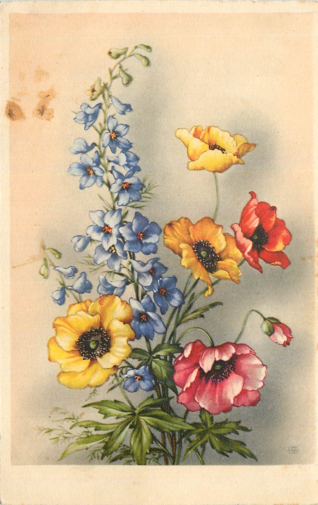 CPA Fleurs