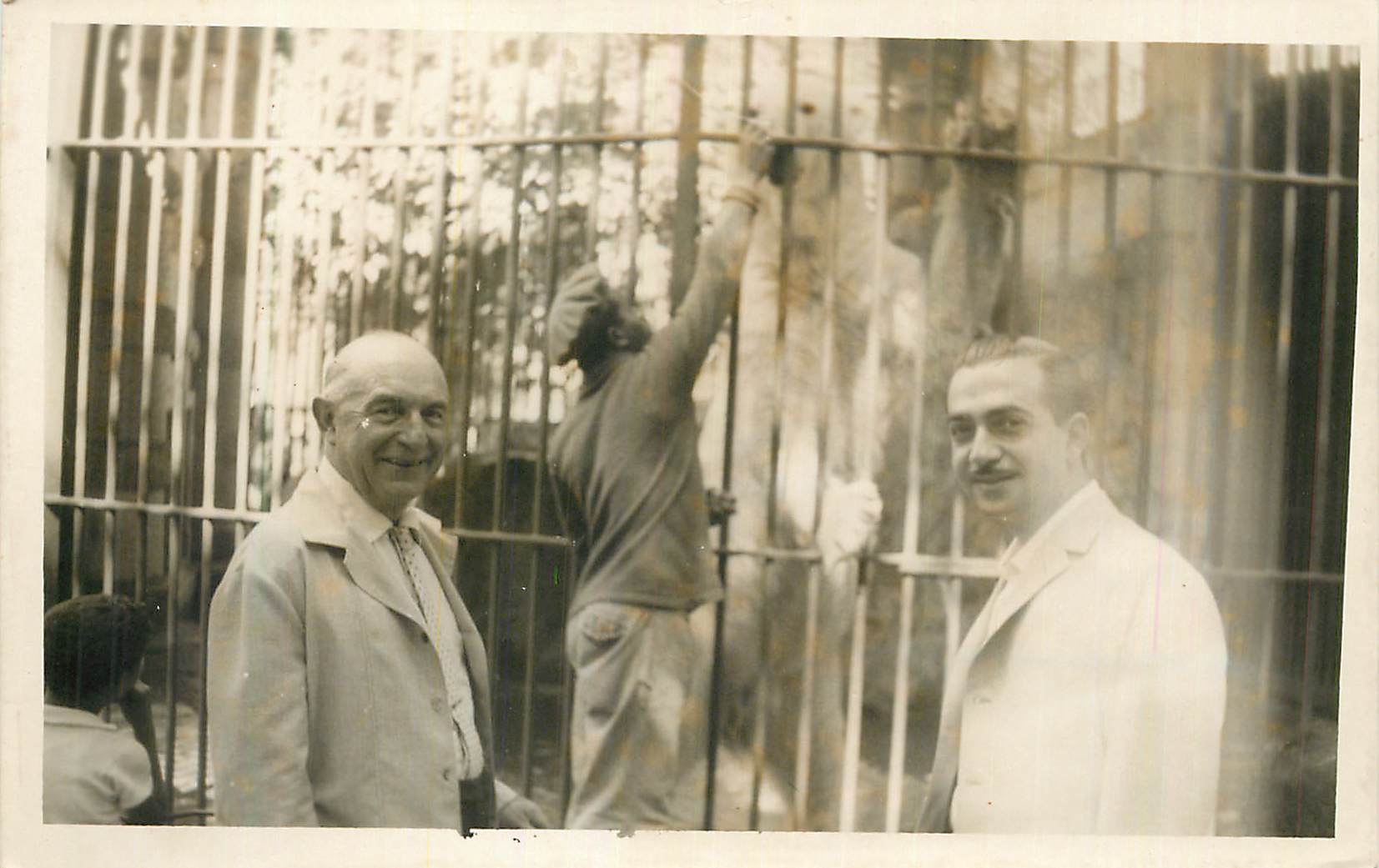 CARTE PHOTO Homme Ours Blanc