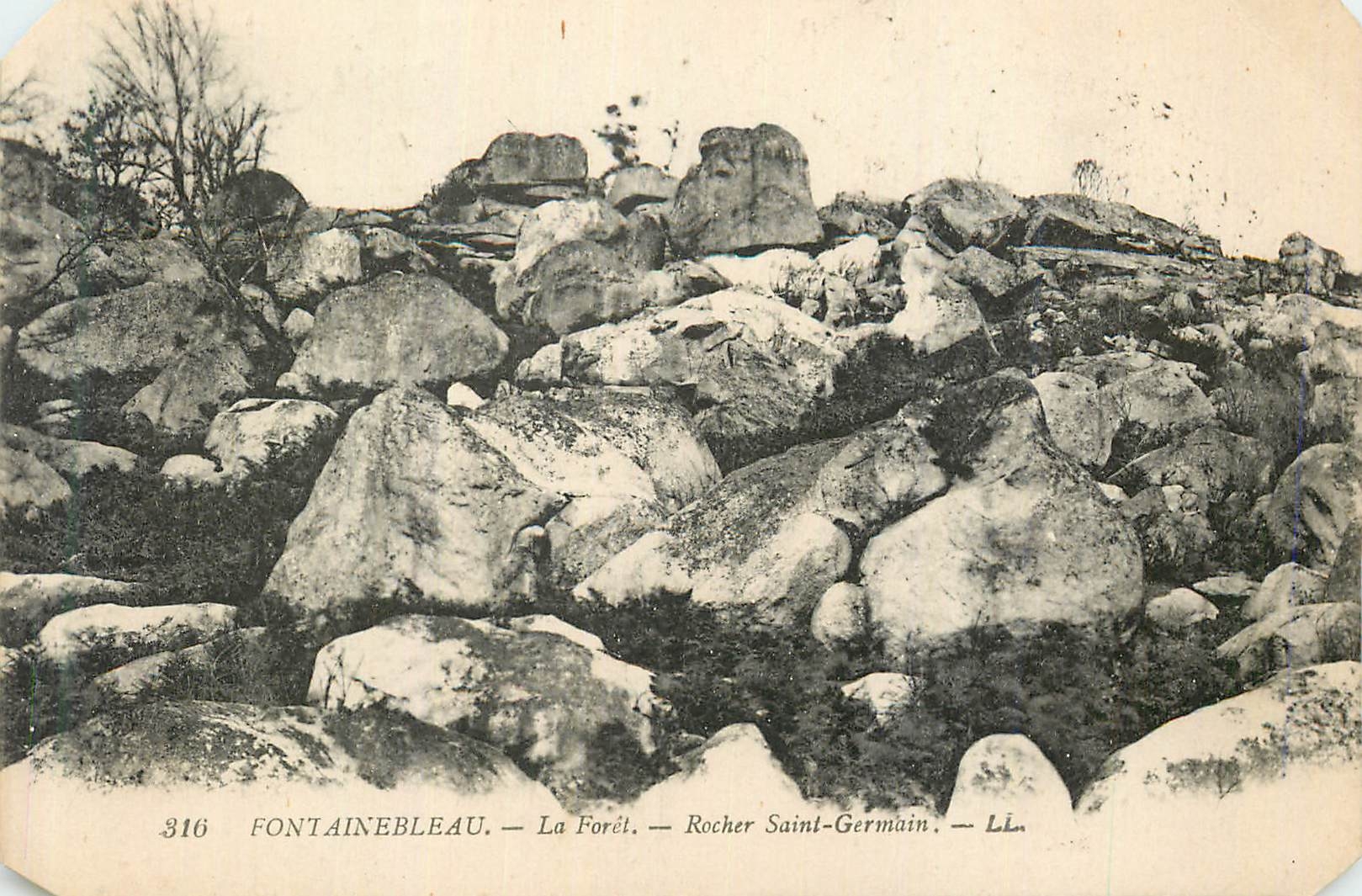 Fontainebleau — La Forêt — Rocher Saint-Germain — LL — n°316