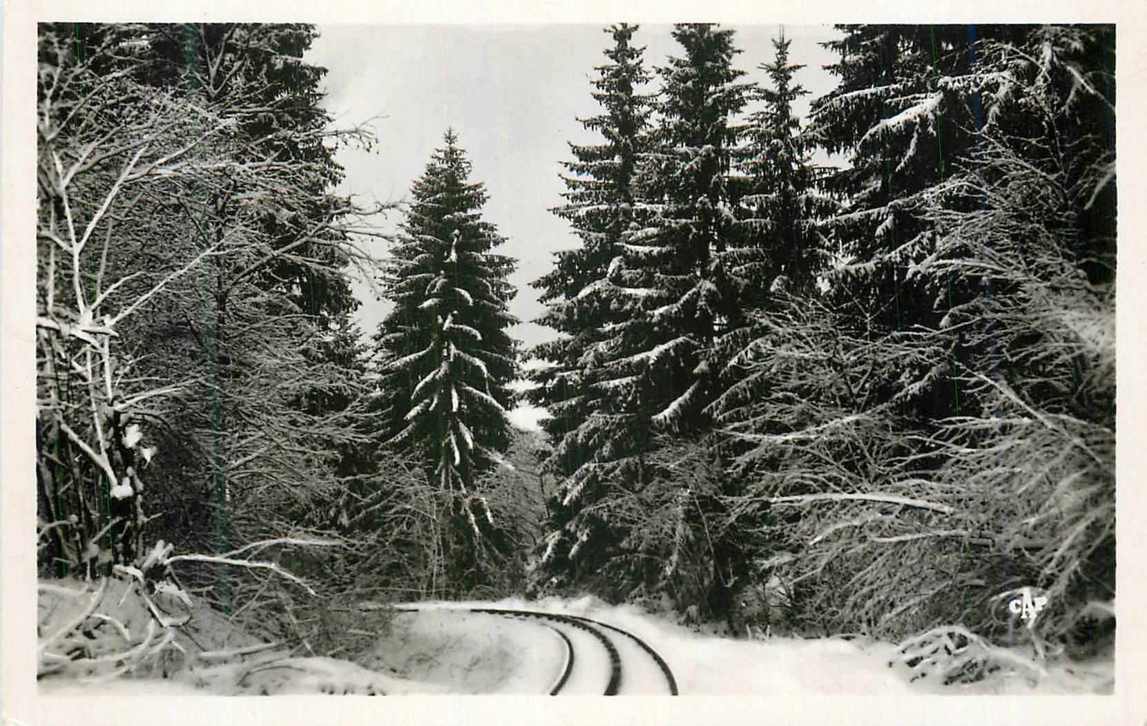 St Gervais-les-Bains — La Ligne du T.B.M. en forêt sous la neige — C.A.P. (49)