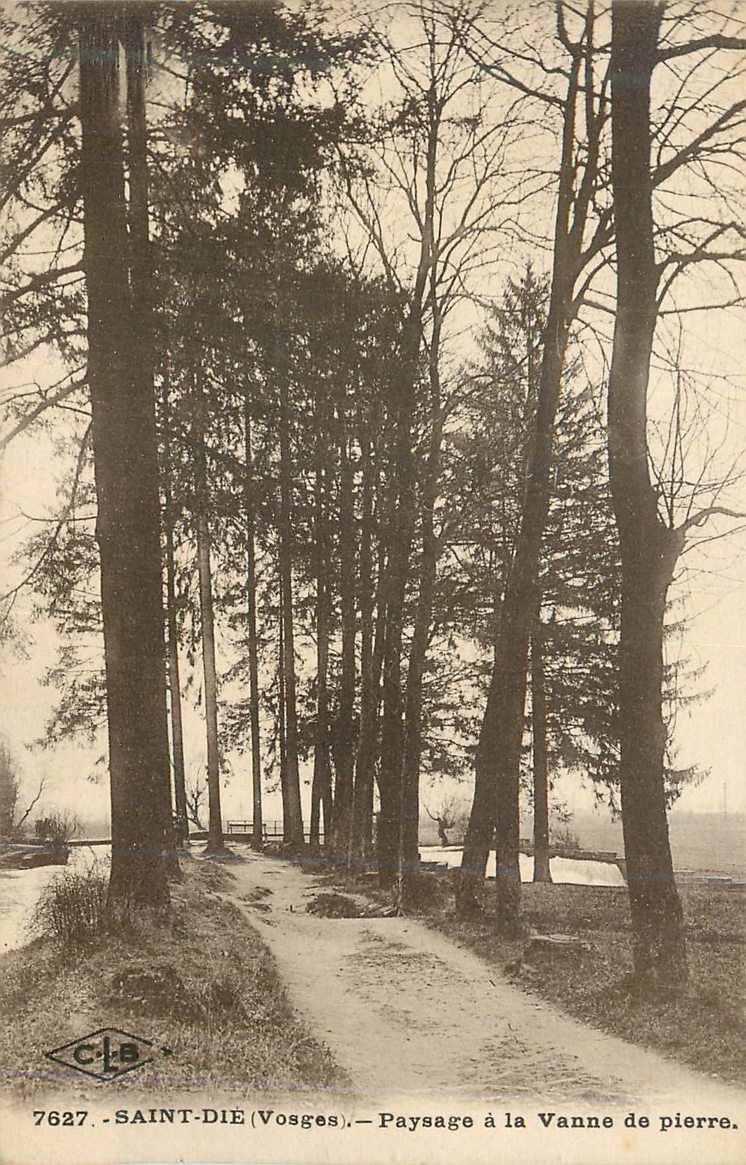 CPA Saint Die (Vosges) Paysage a la Vanne de Pierre