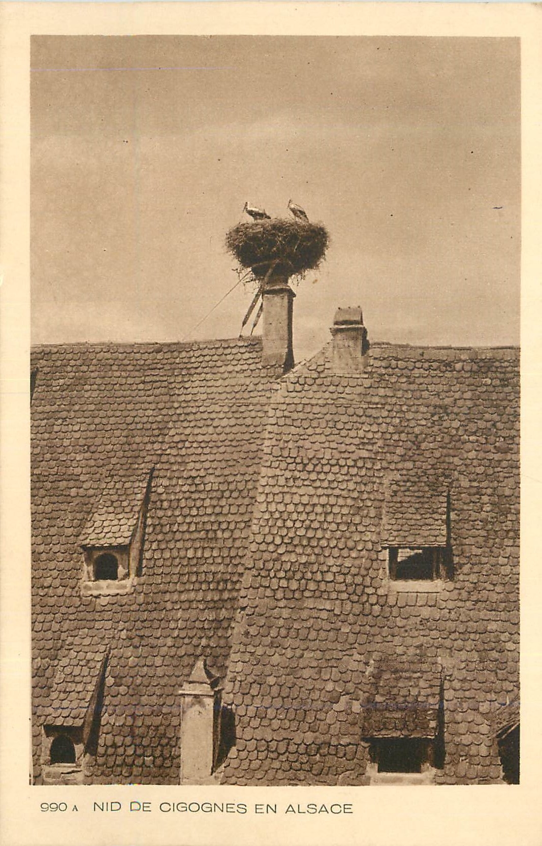 CPA Nid de Cigognes en Alsace