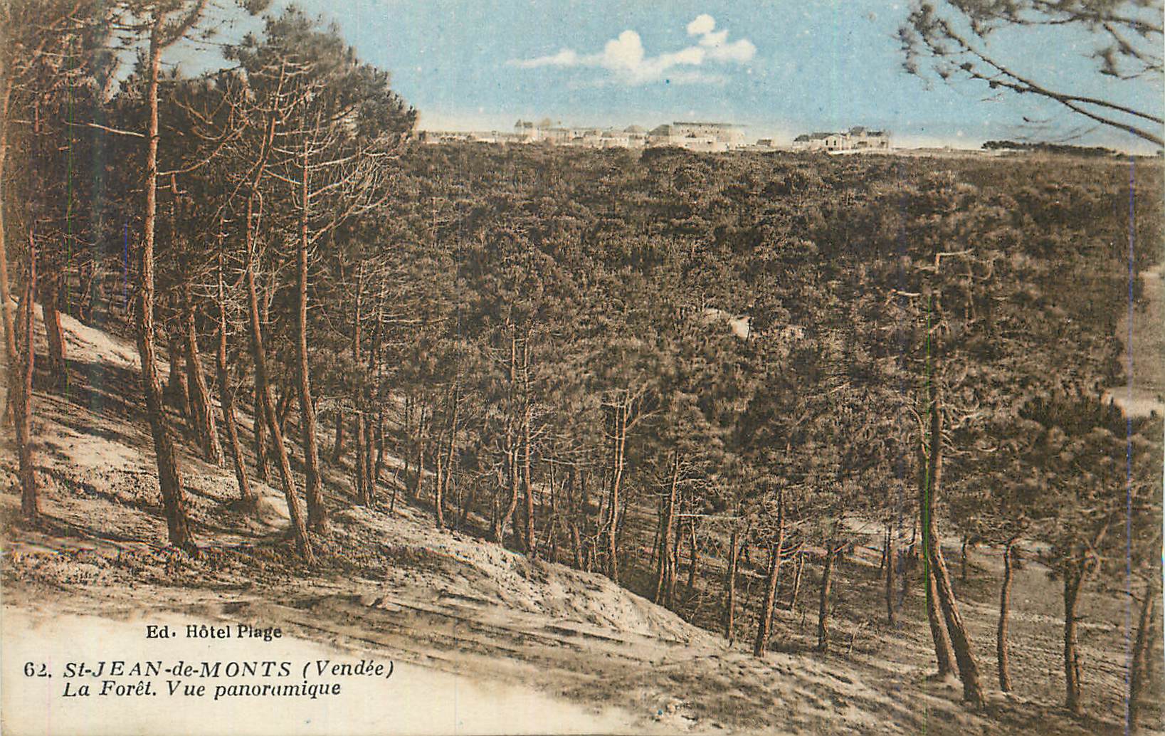 CPA St Jean de Monts (Vendee) La Foret Vue Panoramique
