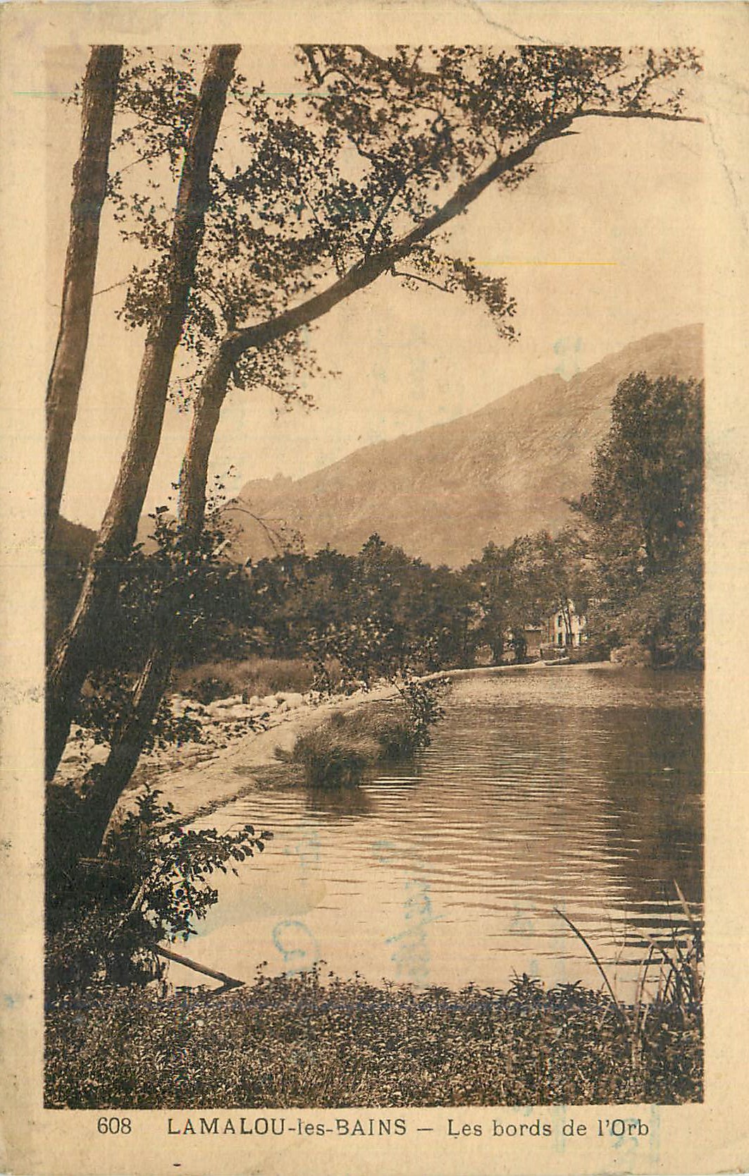 CPA Lamalou les Bains Les Bords de L'Orb