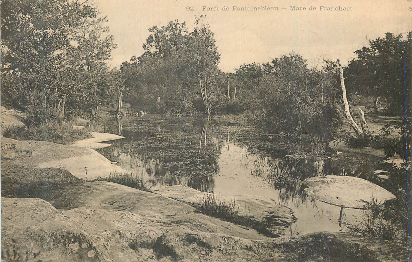 Forêt de Fontainebleau — Mare de Franchart — n°92