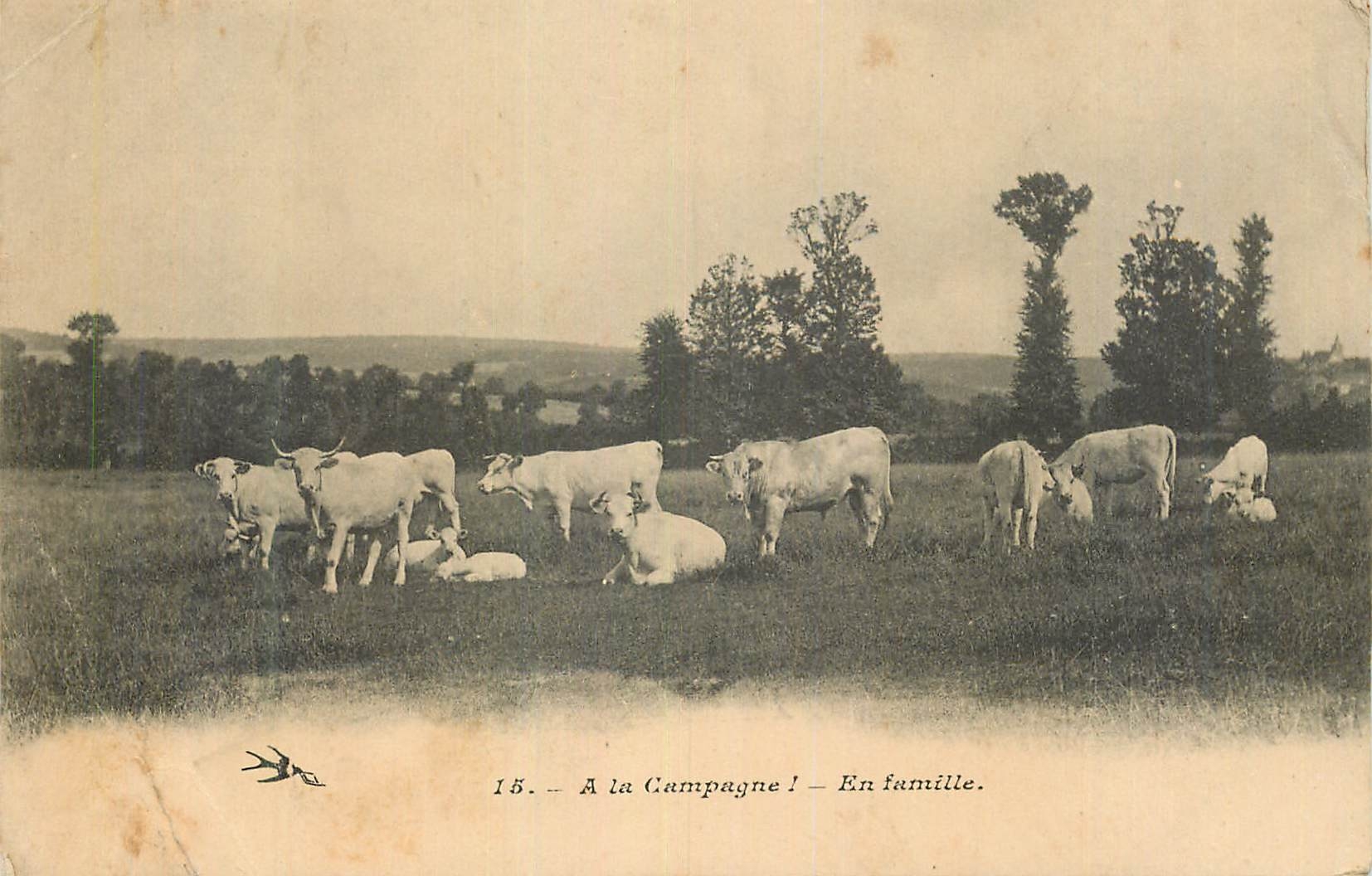 CPA A la Campagne En Famille Vaches