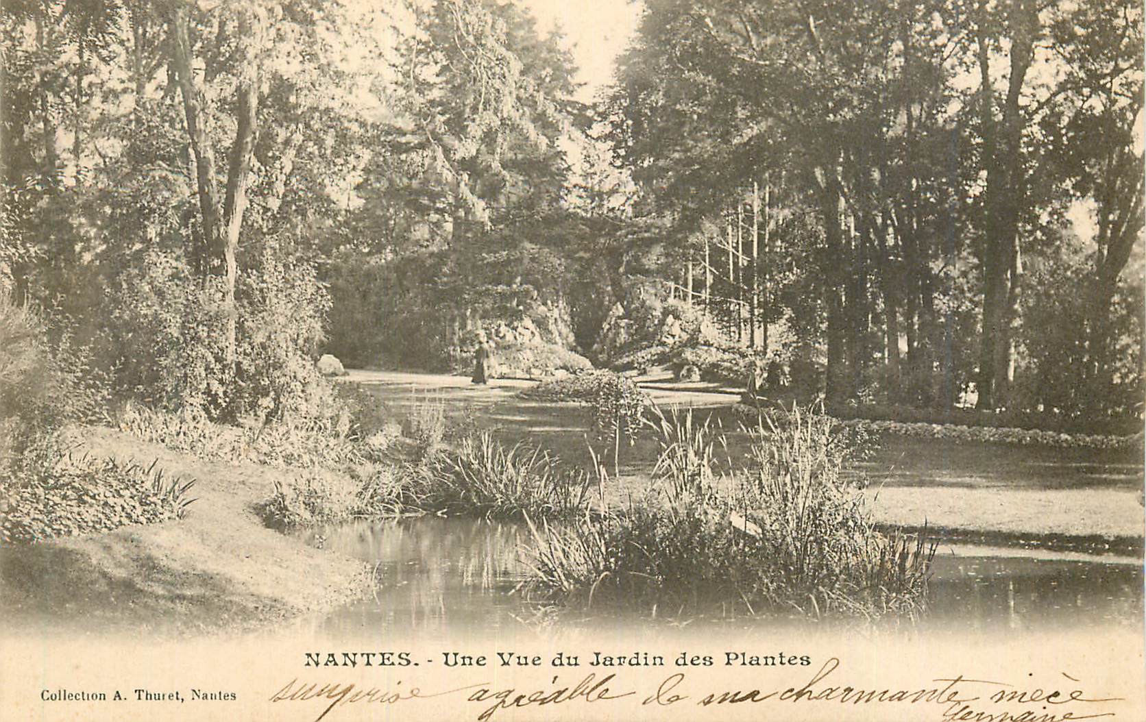CPA Nantes Une Vue du Jardin des Plantes