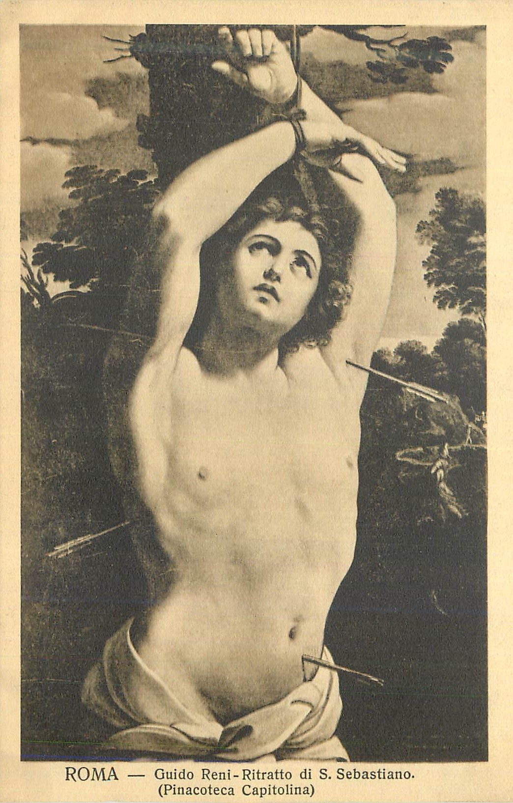 CPA Roma Guido Reni Ritratto di S Sebastiano (Pinacoteca Capitolina)