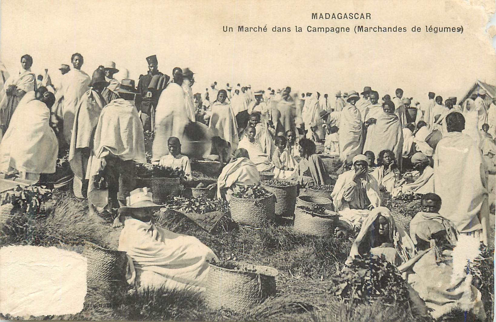 CPA Madagascar un Marche dans la Campagne (Marchandes de Legumes)