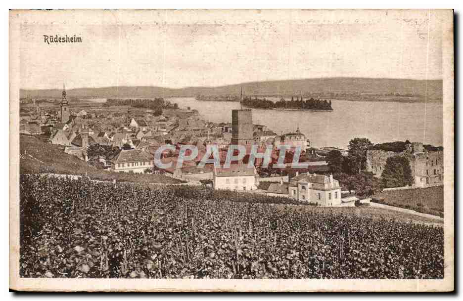 Rudesheim- Rhein-Turm u Kirsche- CPA