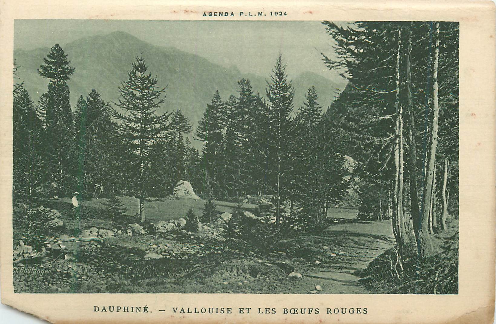 CPA Dauphine Vallouise et les Boeufs Rouges
