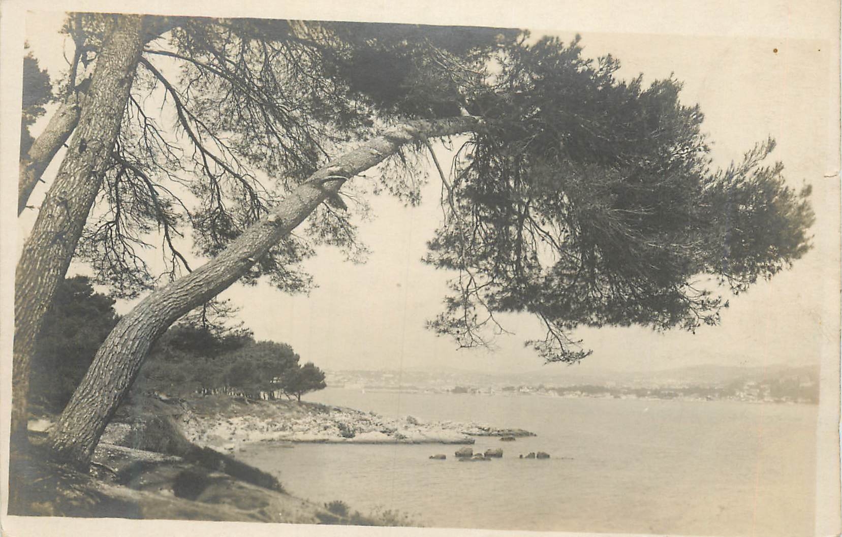 CARTE PHOTO Alpes Maritimes