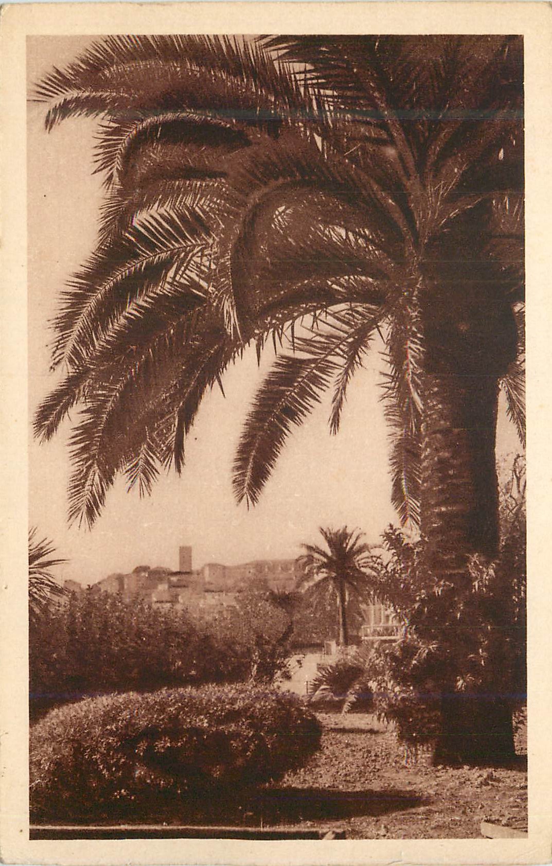 CPA Cote d'Azur Cannes Les Jardins