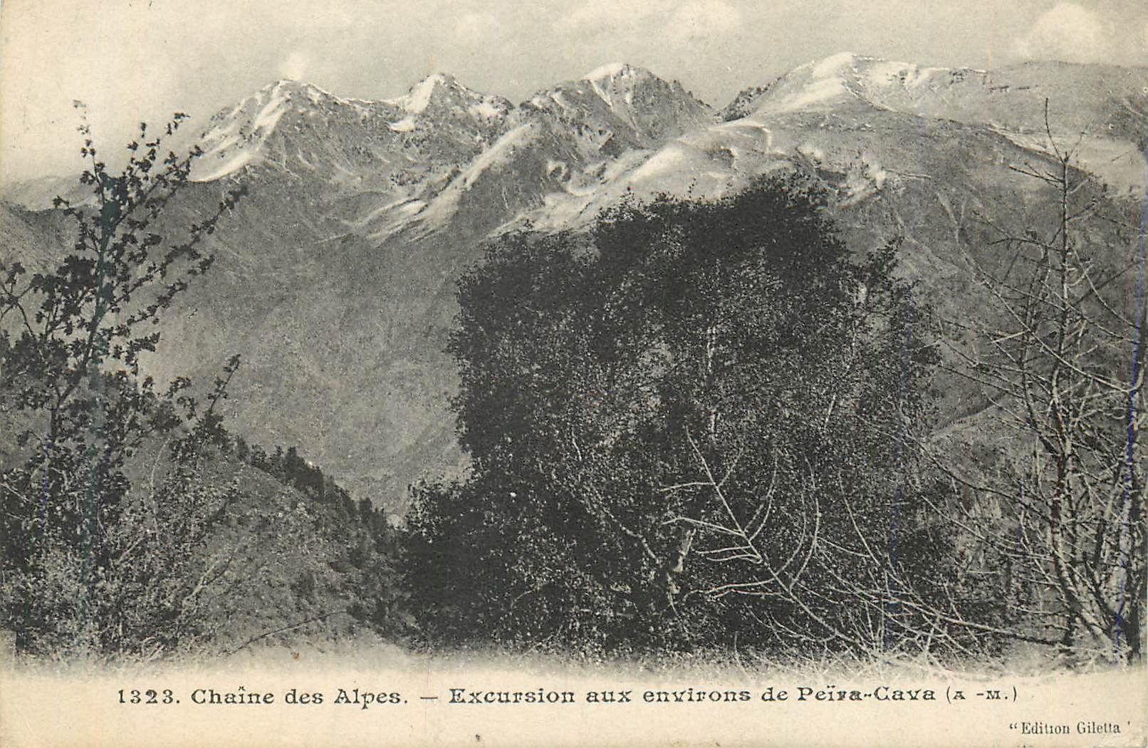 CPA Chaine des Alpes Excursion aux Environs de Peira Cava (A M)