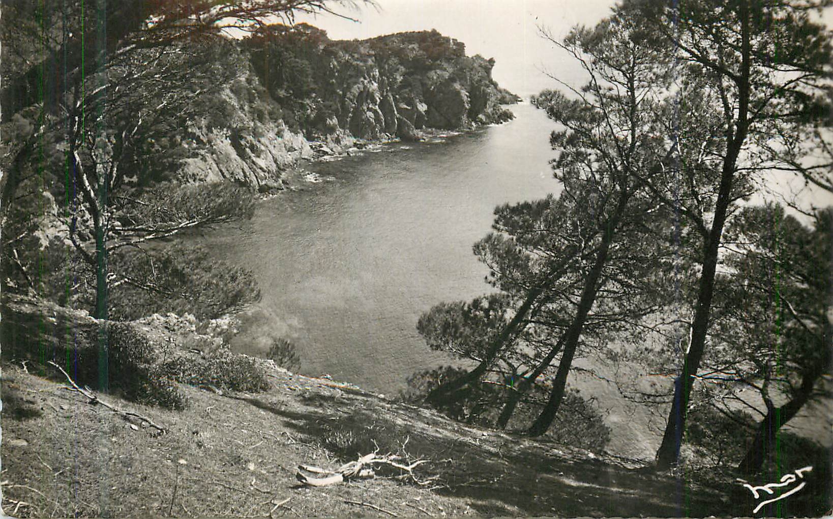 CPA Ile de Porquerolles Var la Grande Cale