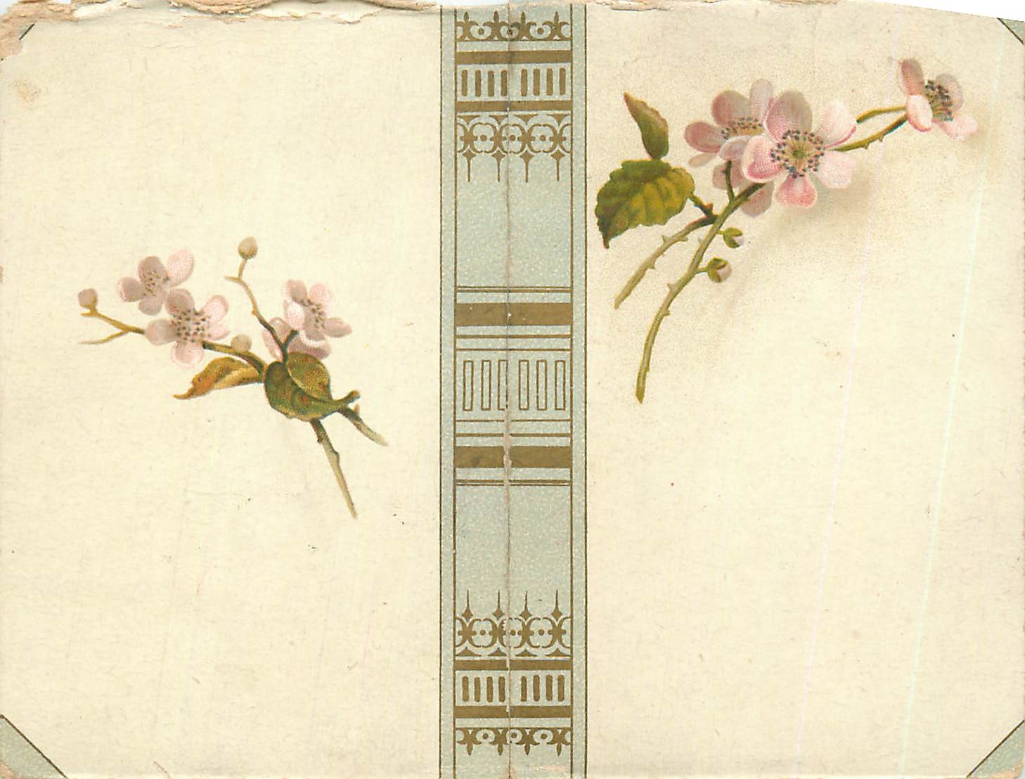 CPA Fleurs