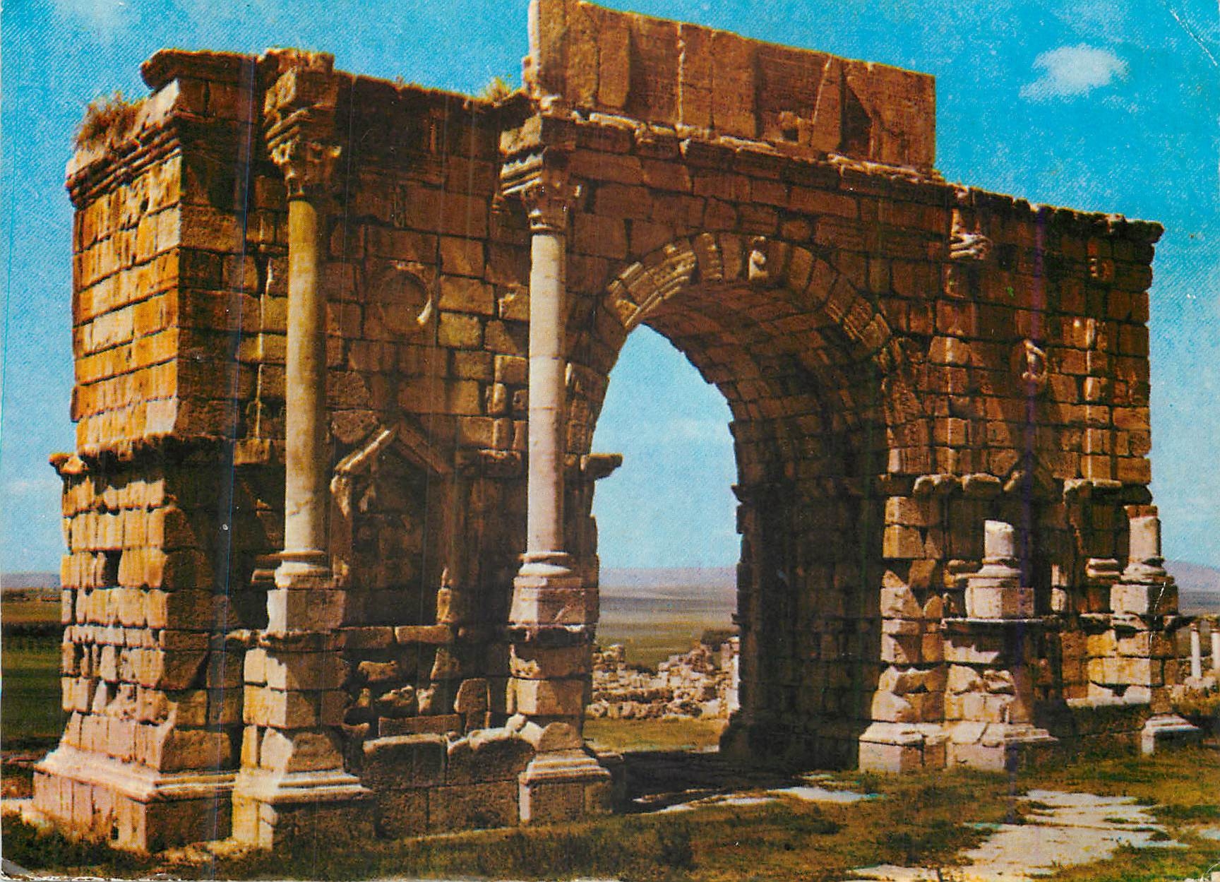 CPM Volubilis (Ruines Romaines) L'Arc du Triomphe Maroc