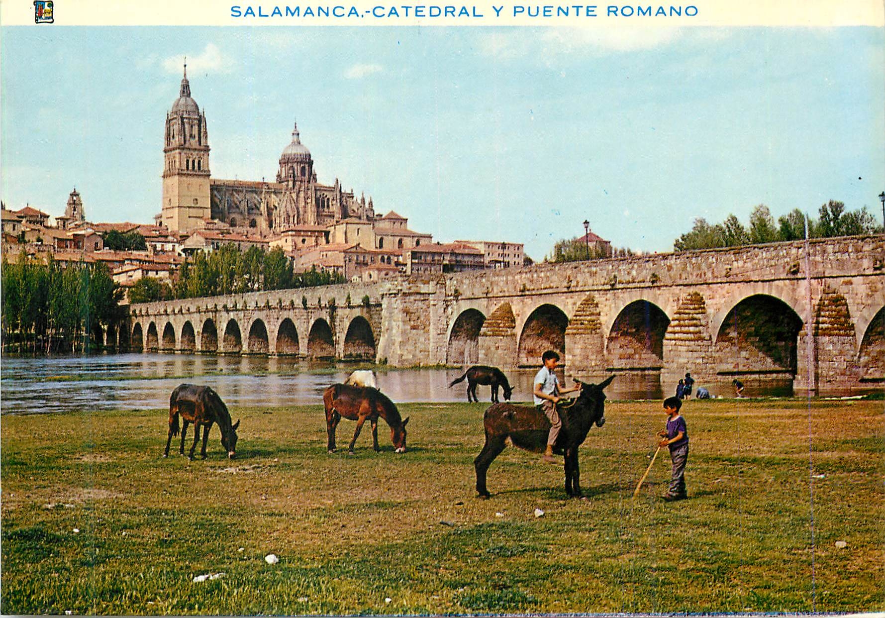 CPM Salamanca Catedral y Puente Romano Ane Donkey
