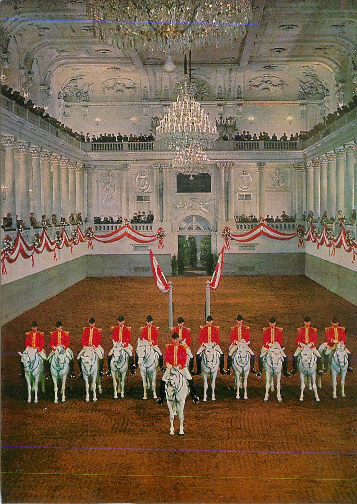 CPM Vienne Ecole d'Equitation Espagnole Chevaux