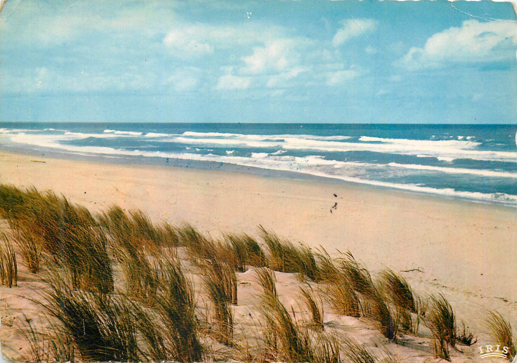 CPM Cote d'Argent L'Ocean