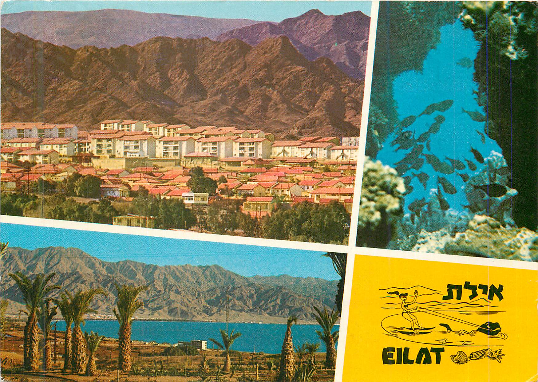 CPM Eilat
