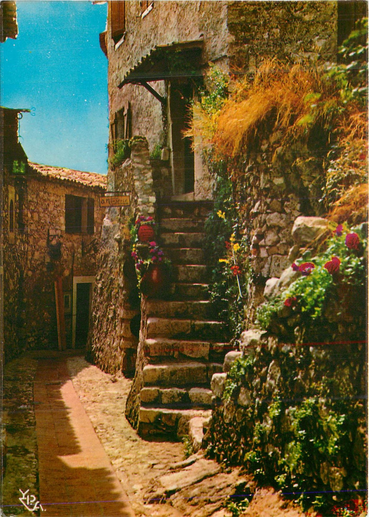 CPM Au Soleil de la Cote d'Azur Vieilles Maisons aux Murs Fleuris