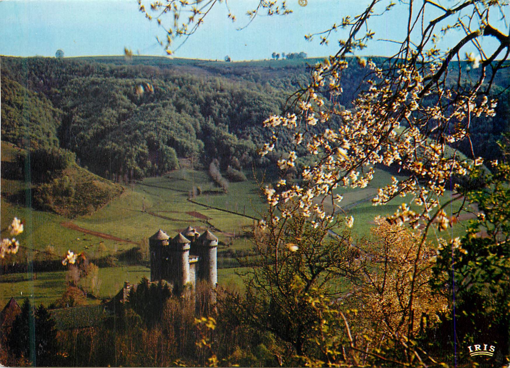 CPM Tournemire (Cantal) Le Chateau d'Anjony Forteresse du Moyen Age