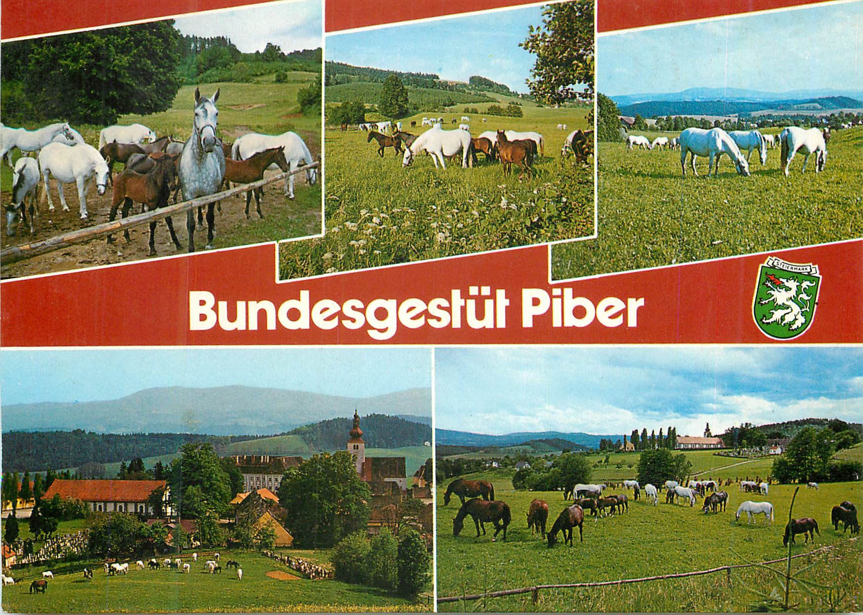 CPM Piber Steiermark Austria