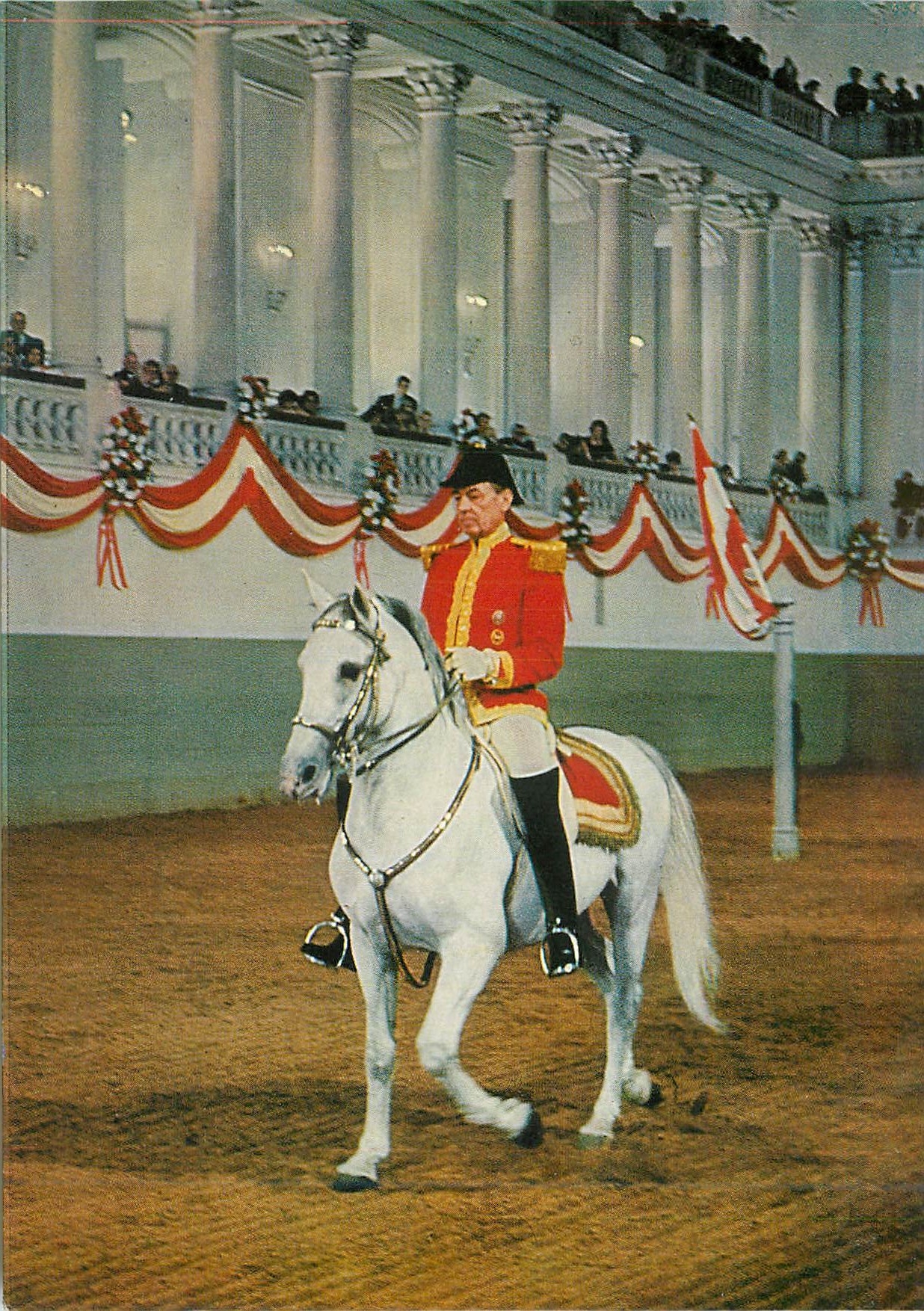 CPM Vienne l'Ecole d'Equitation Espagnole Chevaux