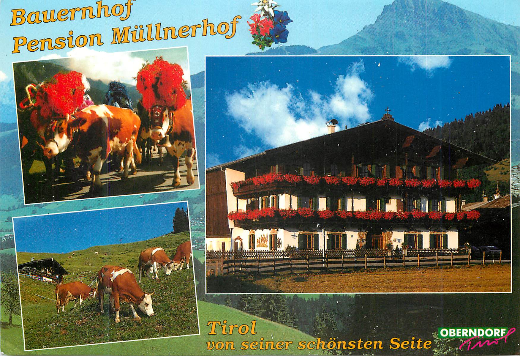 CPM Bauernhof Pension Mullnerhif Tirol Von Seiner Schonsten Seite