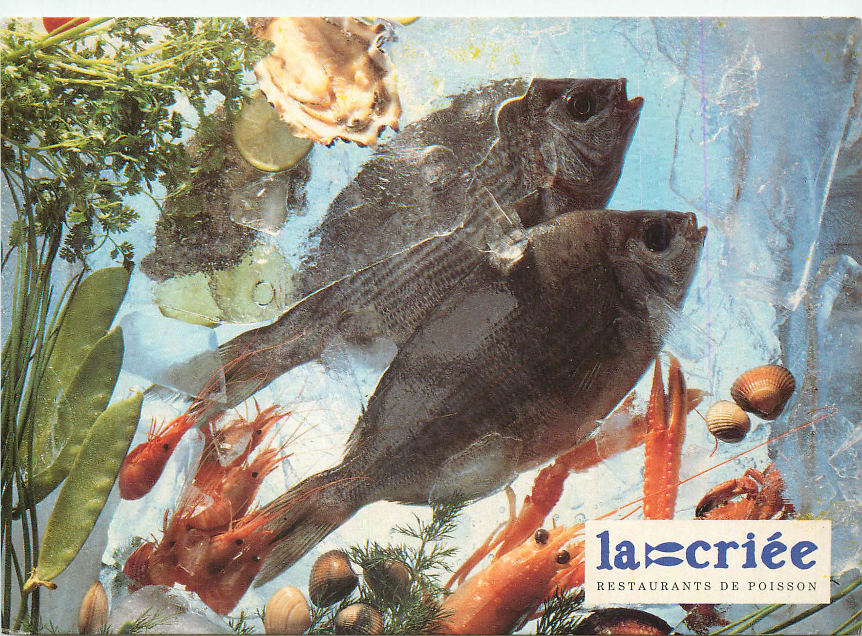 CPM La Criee Restaurant de Poisson et de Fruits De Mer