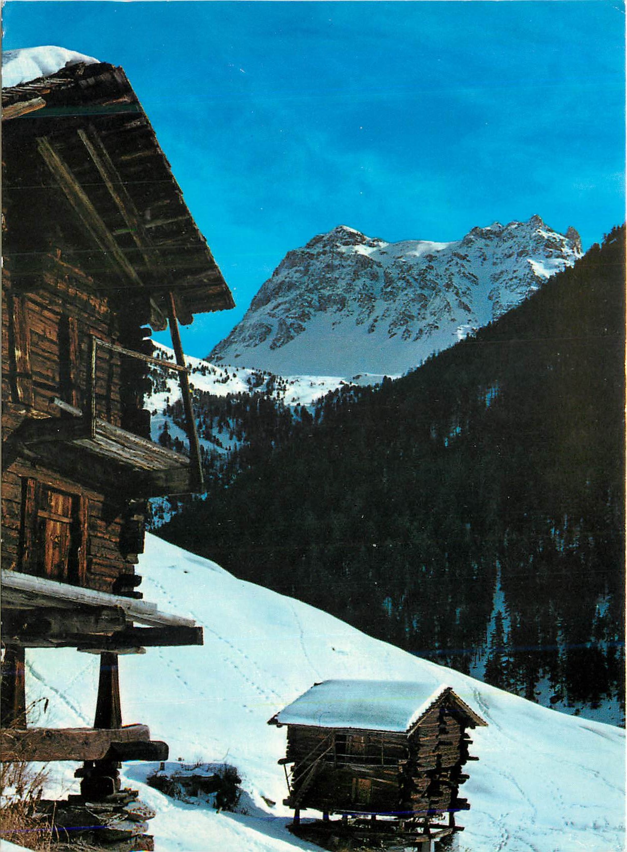 CPM St Luc et le Tounot (Valais Suisse) Alt 1650 m